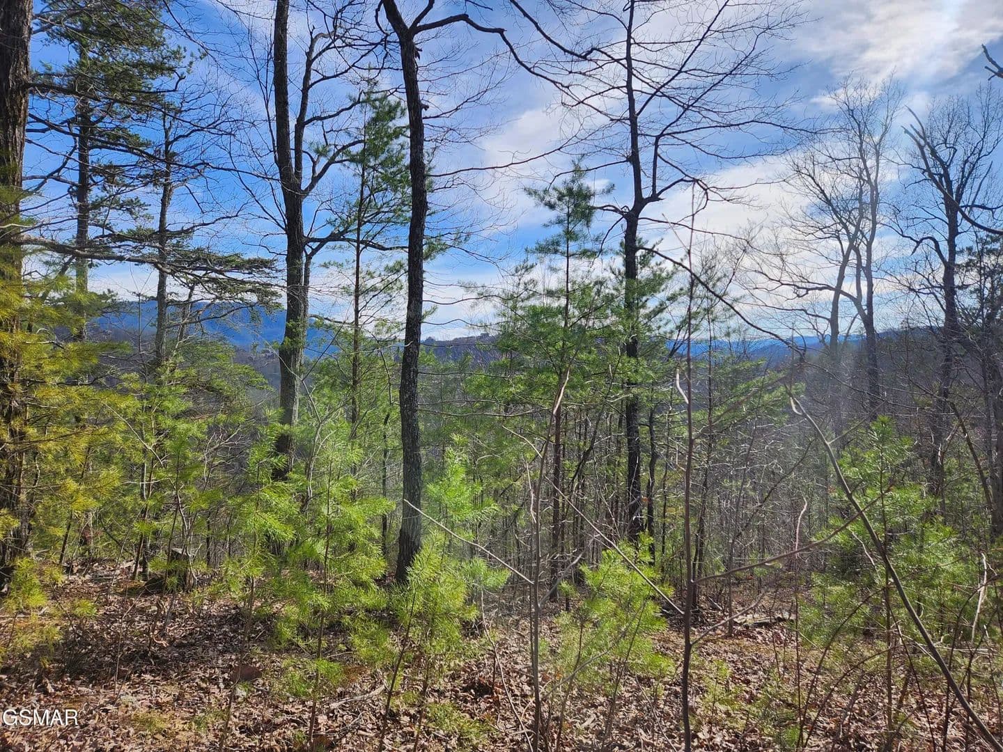 Vacant Land in Sevierville - Sevierville, Tennessee, 37862