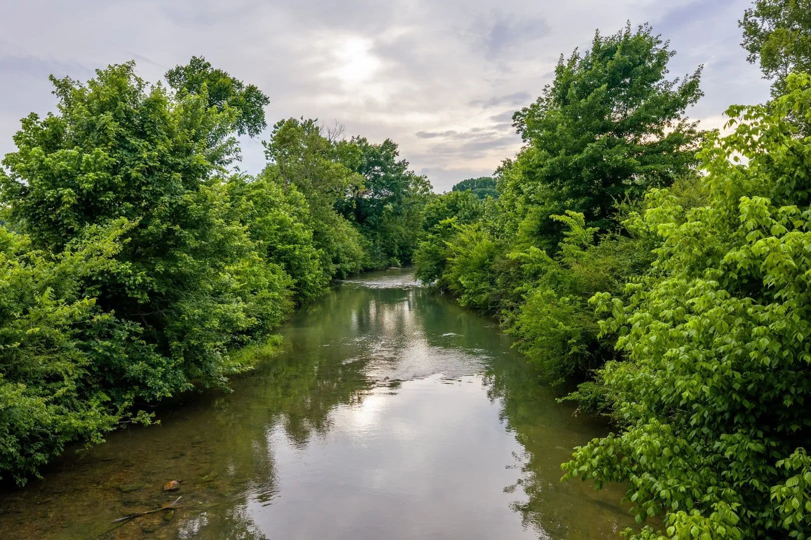 Property from 0 Ostella Rd - KW - Cornersville, Tennessee, 37047