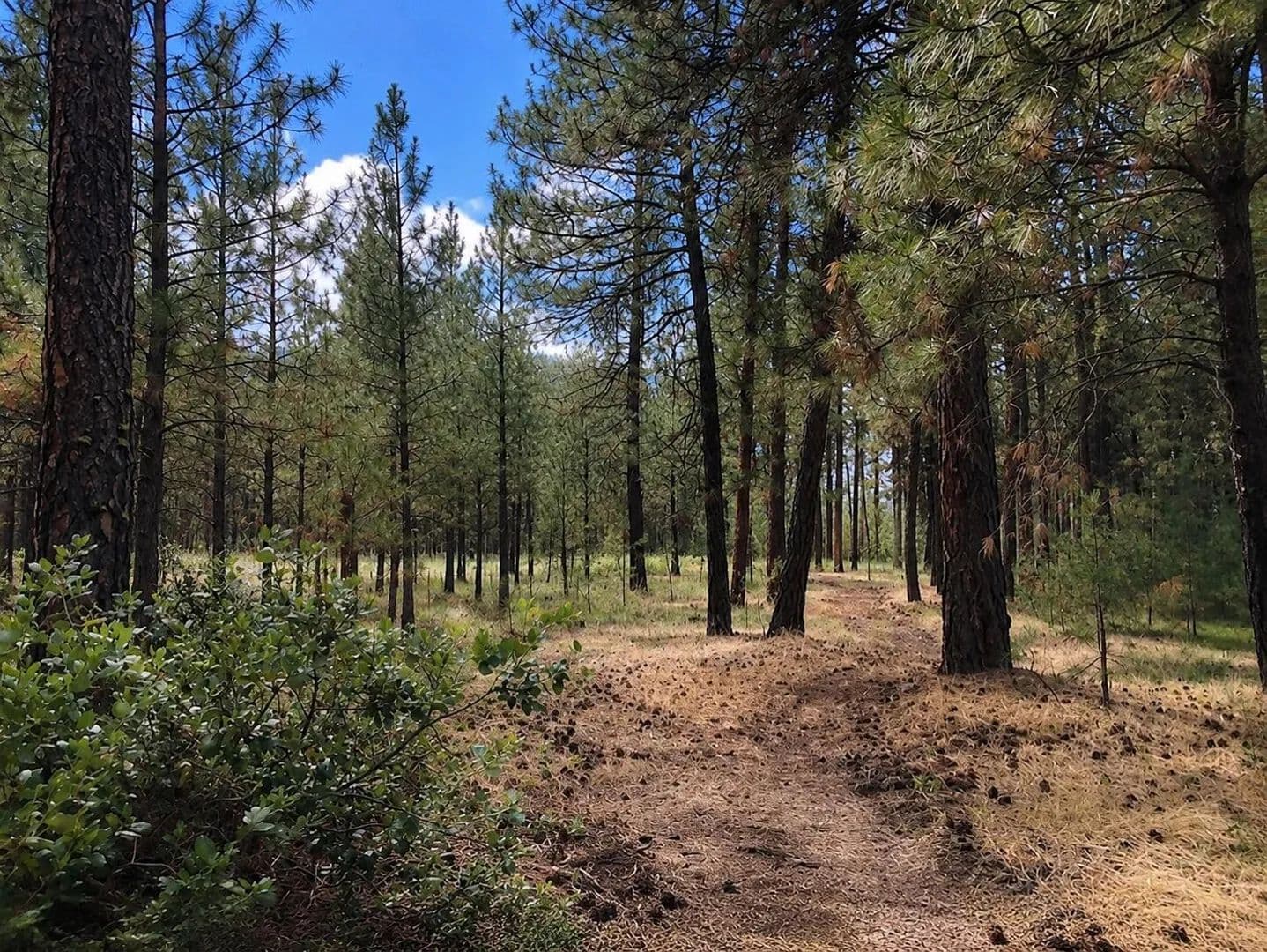 2.4 Acres of Land for Sale in KETTLE FALLS, WA - Kettle Falls, Washington, 99141