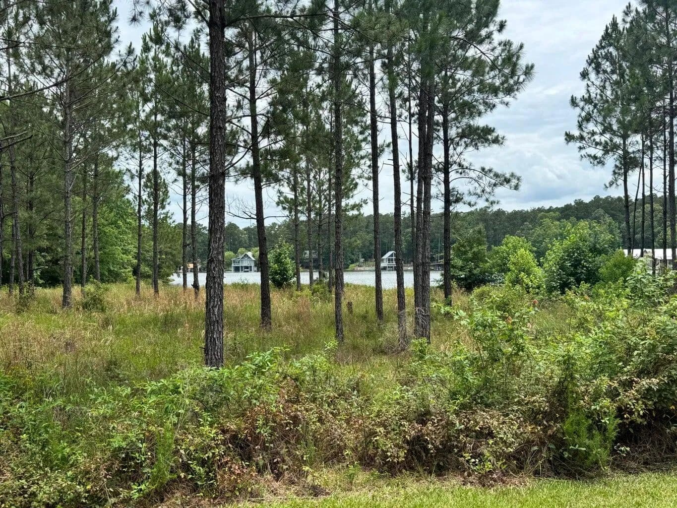 Property from 174 Ella (Lot 4) Point - KW - Lumberton, Mississippi, 39455