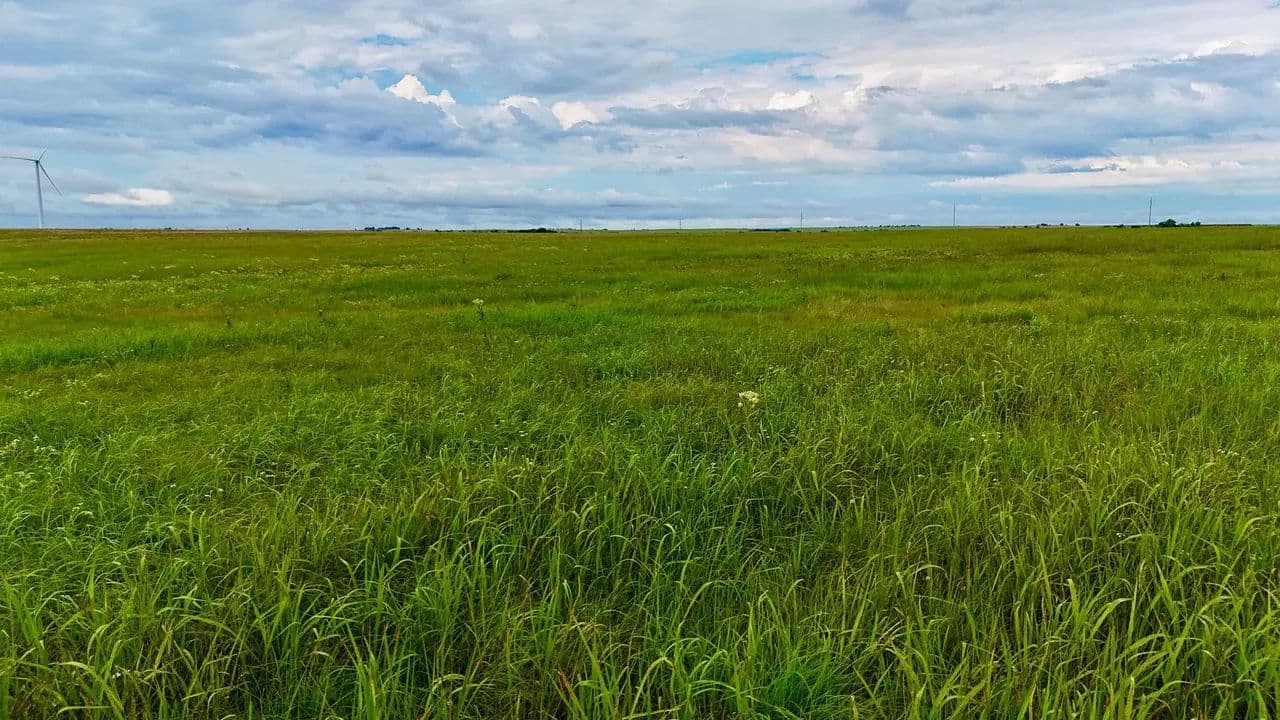 County Road 431, Muenster , Tx 76252 - Muenster, Texas, 76252