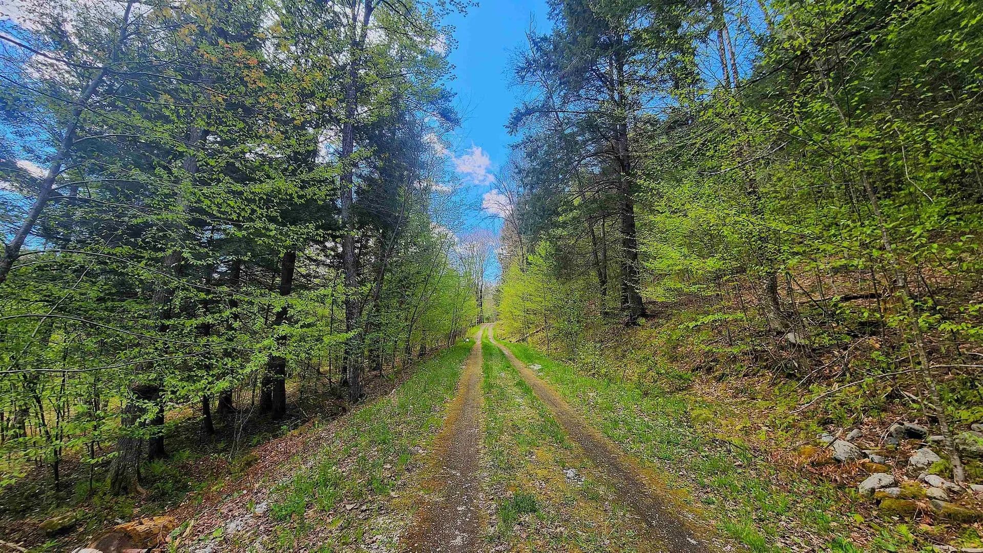 Property from 0 Linden Way - KW - Chester, Vermont, 5143