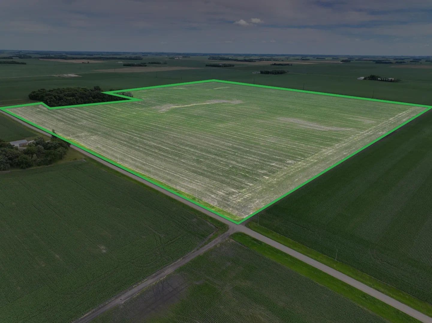 148.44± Acre Farm Auction Faribault County - Minnesota,