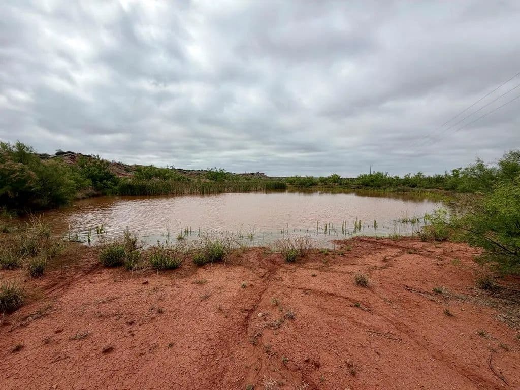 161.85 Acres of Land for Sale in Coahoma, Texas - Coahoma, Texas, 79511