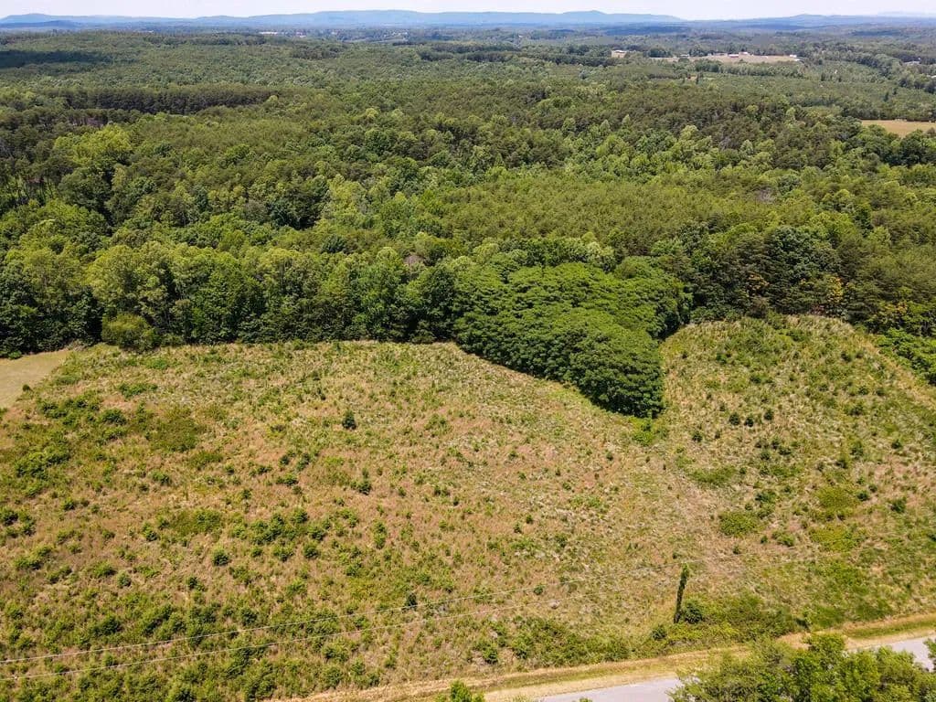 48.28 Acres of Land for Sale in Danville, VA - Danville, Virginia, 24541