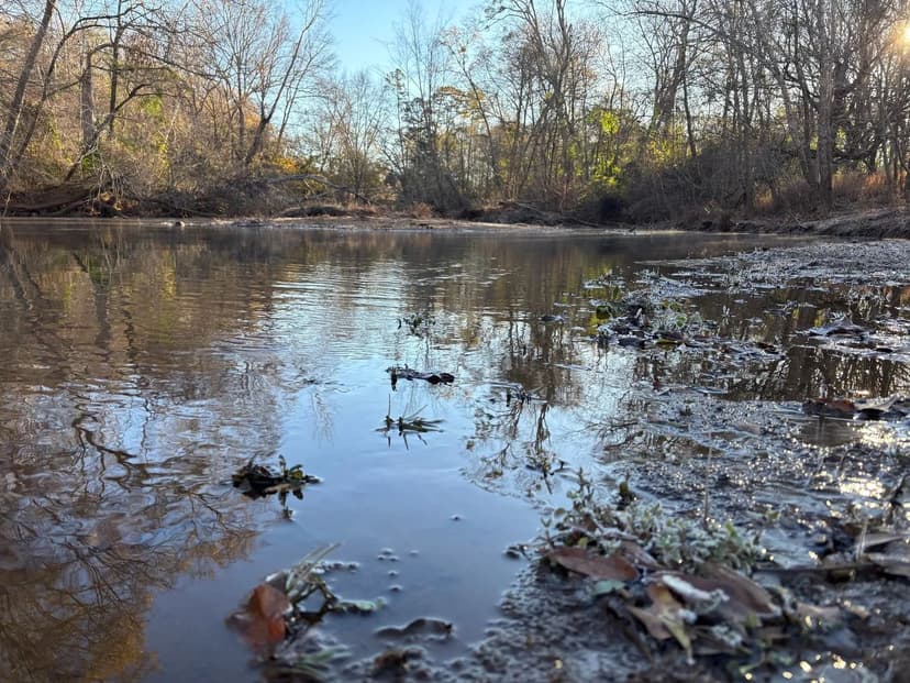 Smith Farm - 175+/- acres