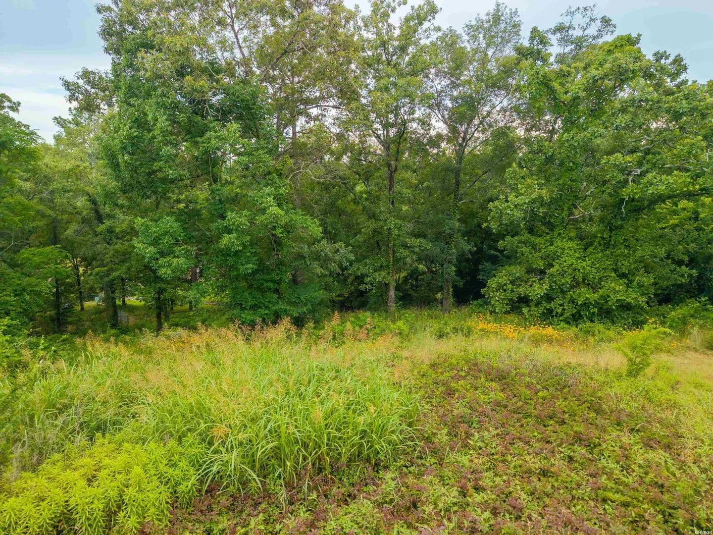 Property from XXX POGUE - KW - Hot Springs, Arkansas, 71913