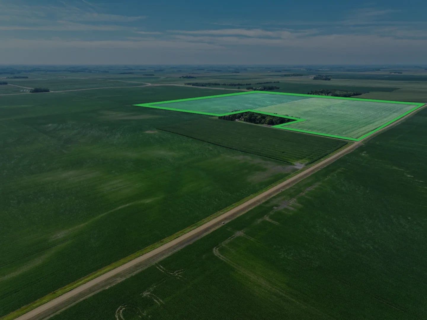 212.02± Acre Farm Auction Yellow Medicine County - land for sale