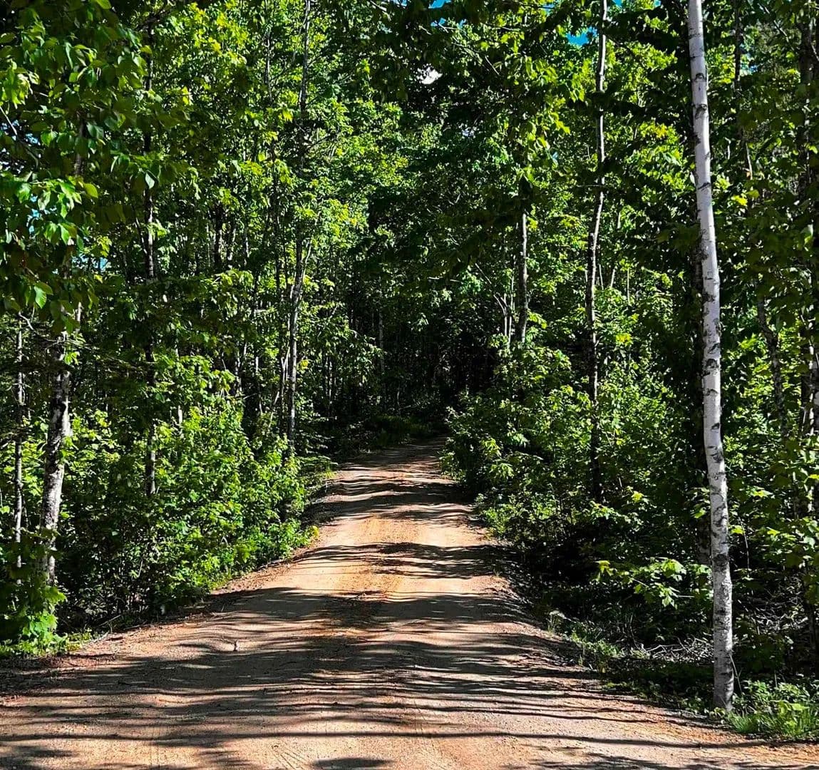 Property from 53 Larch Lane - KW - land for sale