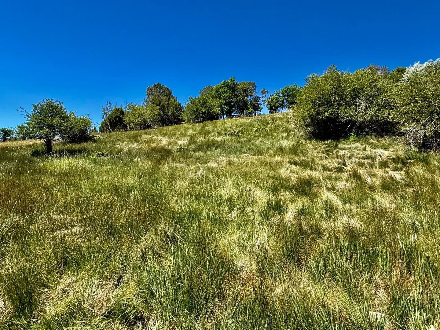 Valley View Ranch - Durango, Colorado, 81301