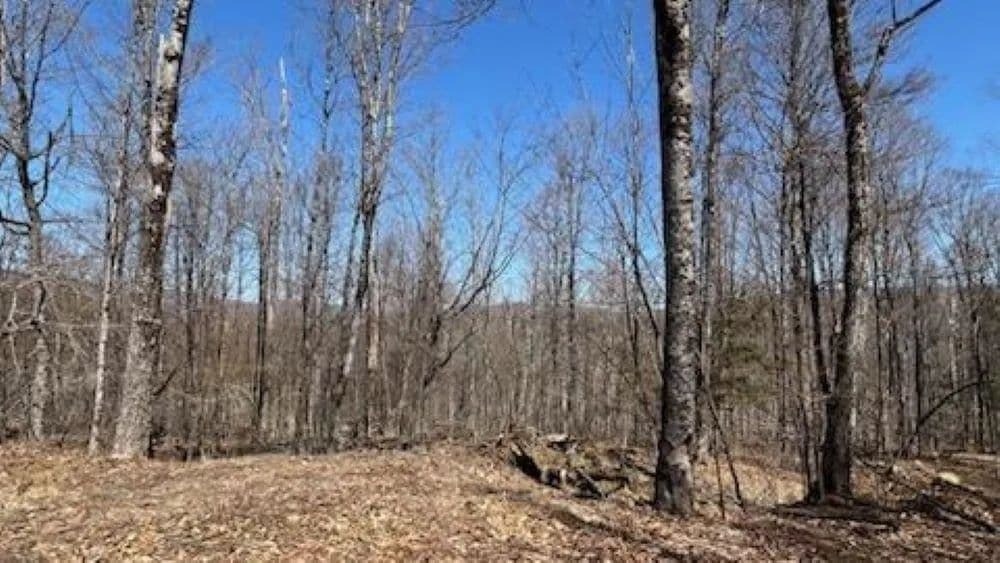 45 Acres of Land for Sale in Plymouth, VT - Plymouth, Vermont, 05056