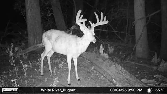 White River Farm and Wildlife - land for sale