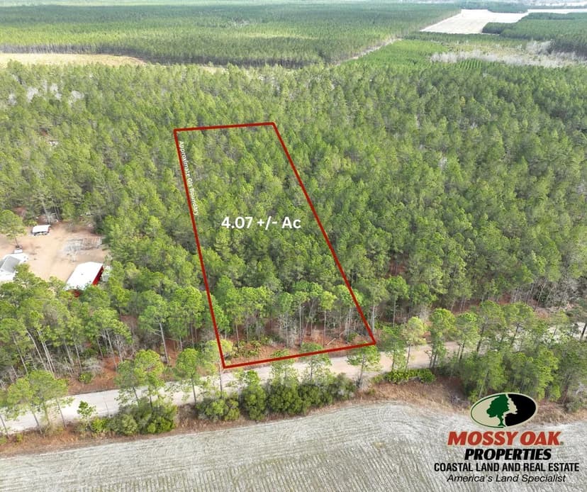 4.07 +/- Ac Land for Sale in Appling County, GA