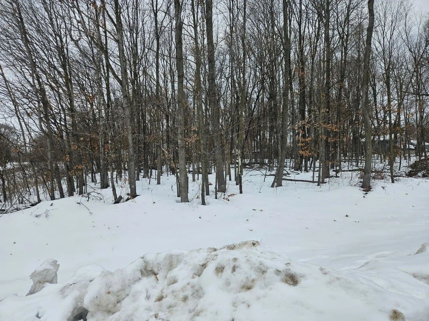 Lots & Land-Other in Saint Stephen - Saint Stephen, Minnesota, 56375