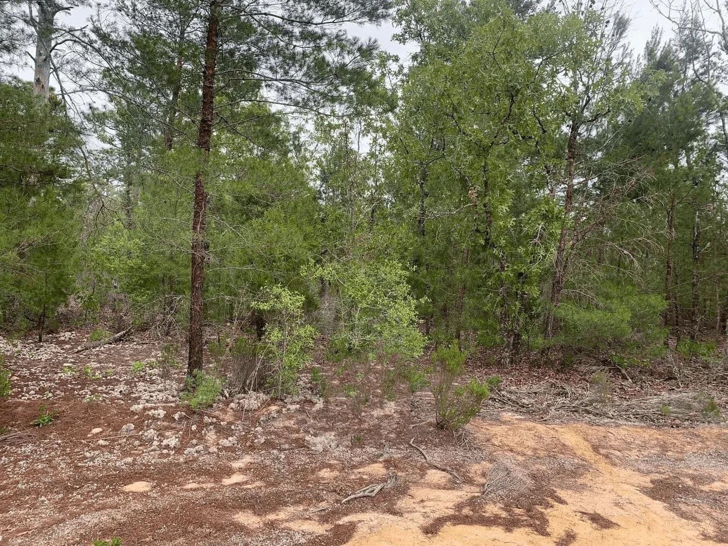 0.22 Acres of Land for Sale in Interlachen, Florida - Interlachen, Florida, 32148