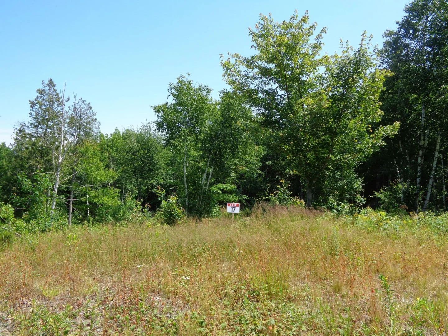 Land -Single Family Acreage in Franklin - Franklin, Maine, 04634