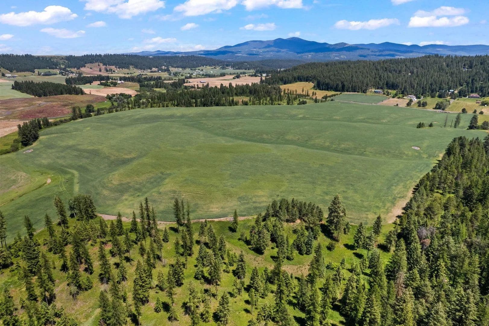102.5 Acres of Land for Sale in Colbert, WA - Colbert, Washington, 99005