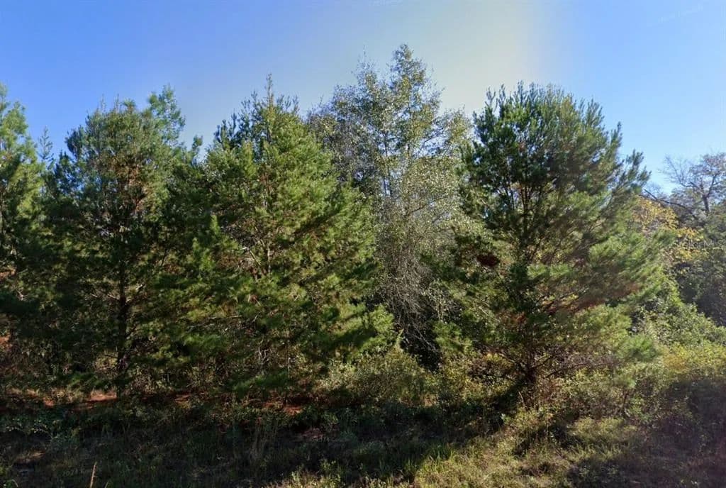 Vacant Land in Chipley - land for sale