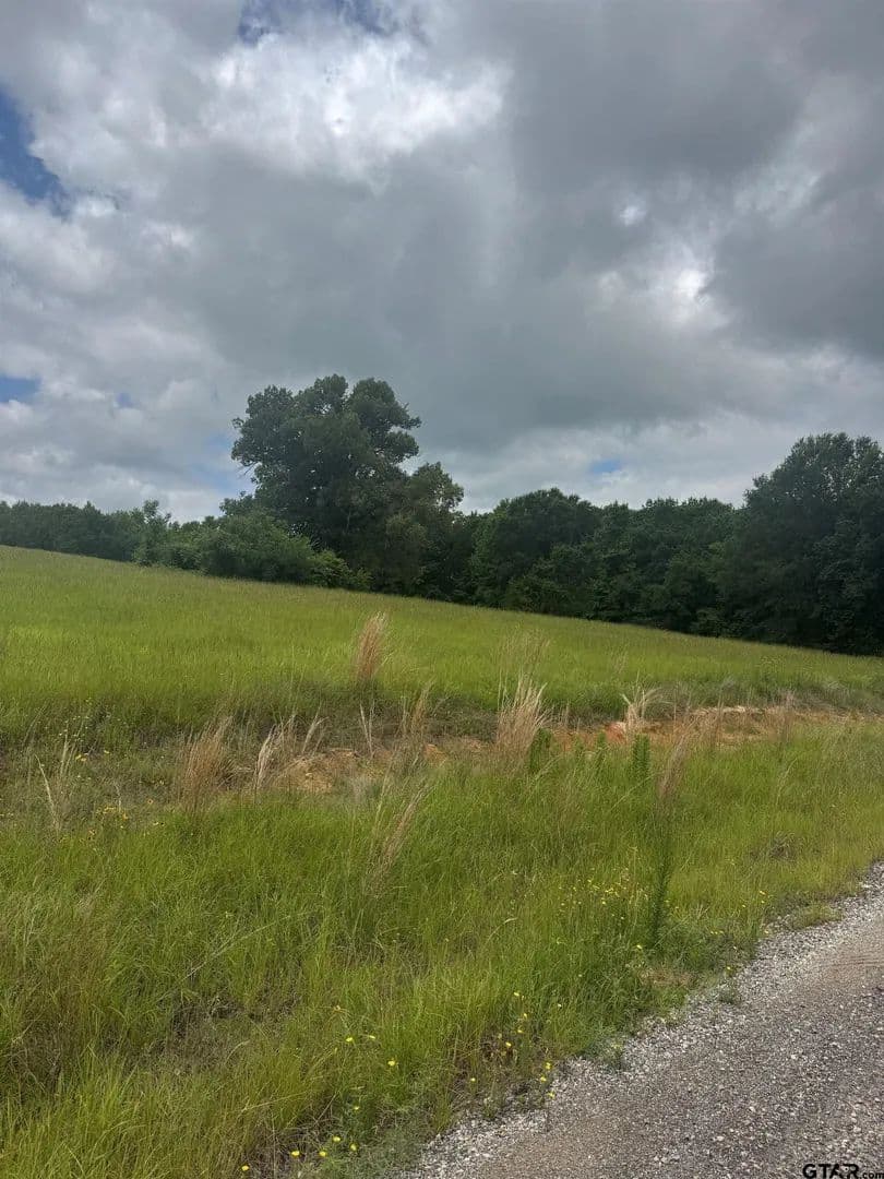 Property from TBD Belles Lane #TBD Belles Lane - KW - Brownsboro, Texas, 75756