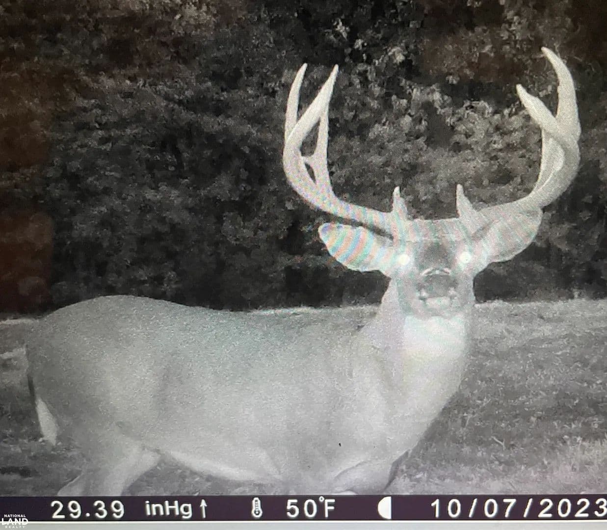 Premium Hunting Land in Pike County With Tillable - Curryville, Missouri, 63339