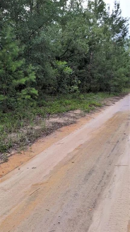 Vacant Land in Interlachen - Interlachen, Florida, 32148