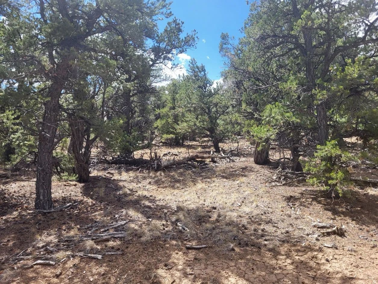 10.15 Acres of Land for Sale in Duchesne, Utah - Duchesne, Utah, 84021