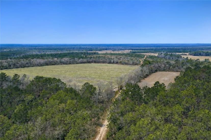 Property from Tract 3 Reddish Road - KW