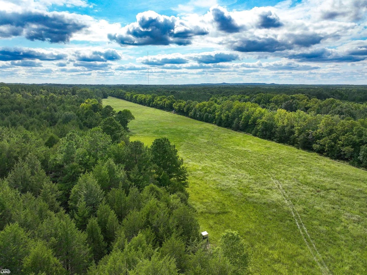 Blackbelt Hunting, Recreation and Timber Tract - Gordonville, Alabama, 36040
