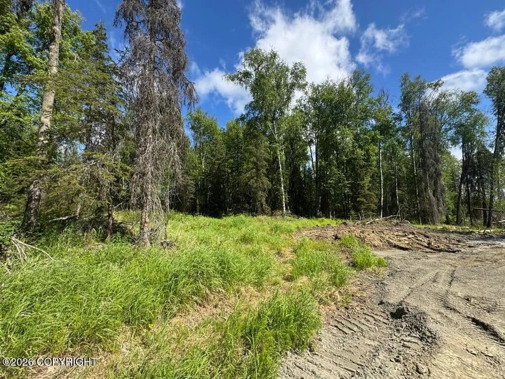 Property from NHN Lenora Court - KW - Soldotna, Alaska, 99669
