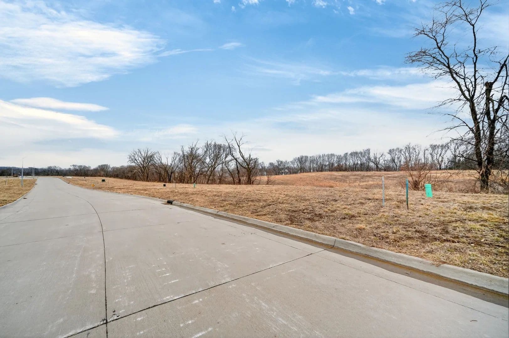 Property from 296 Alder Boulevard - KW - Pleasant Hill, Iowa, 50327