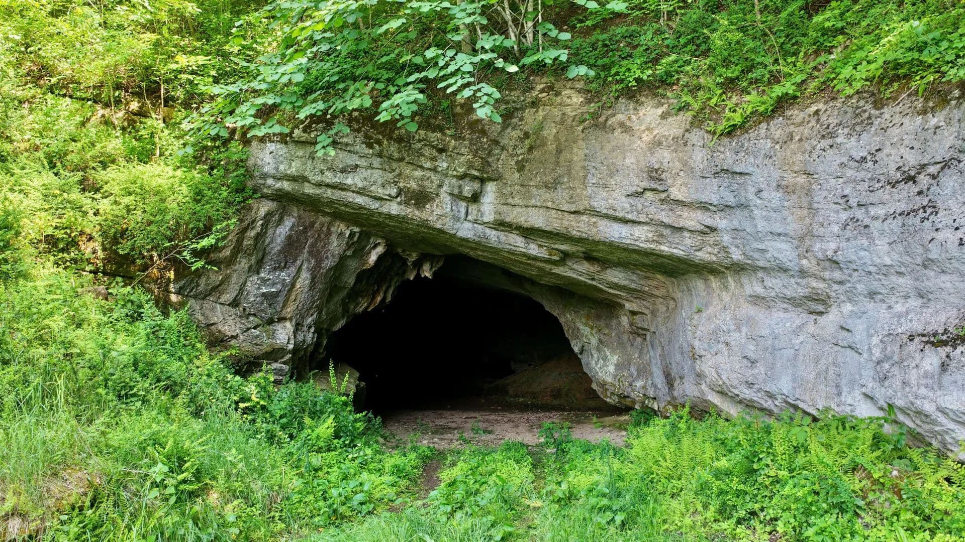 Land for Sale in Gap Mills, WV - Gap Mills, West Virginia, 24941