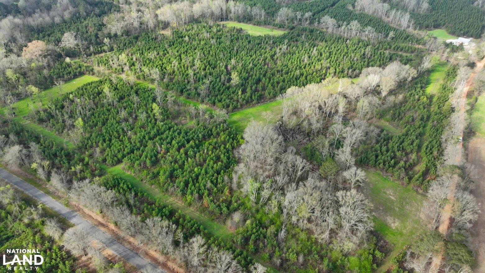 Dallas County Hunting and Timber Investment - Orrville, Alabama, 36767