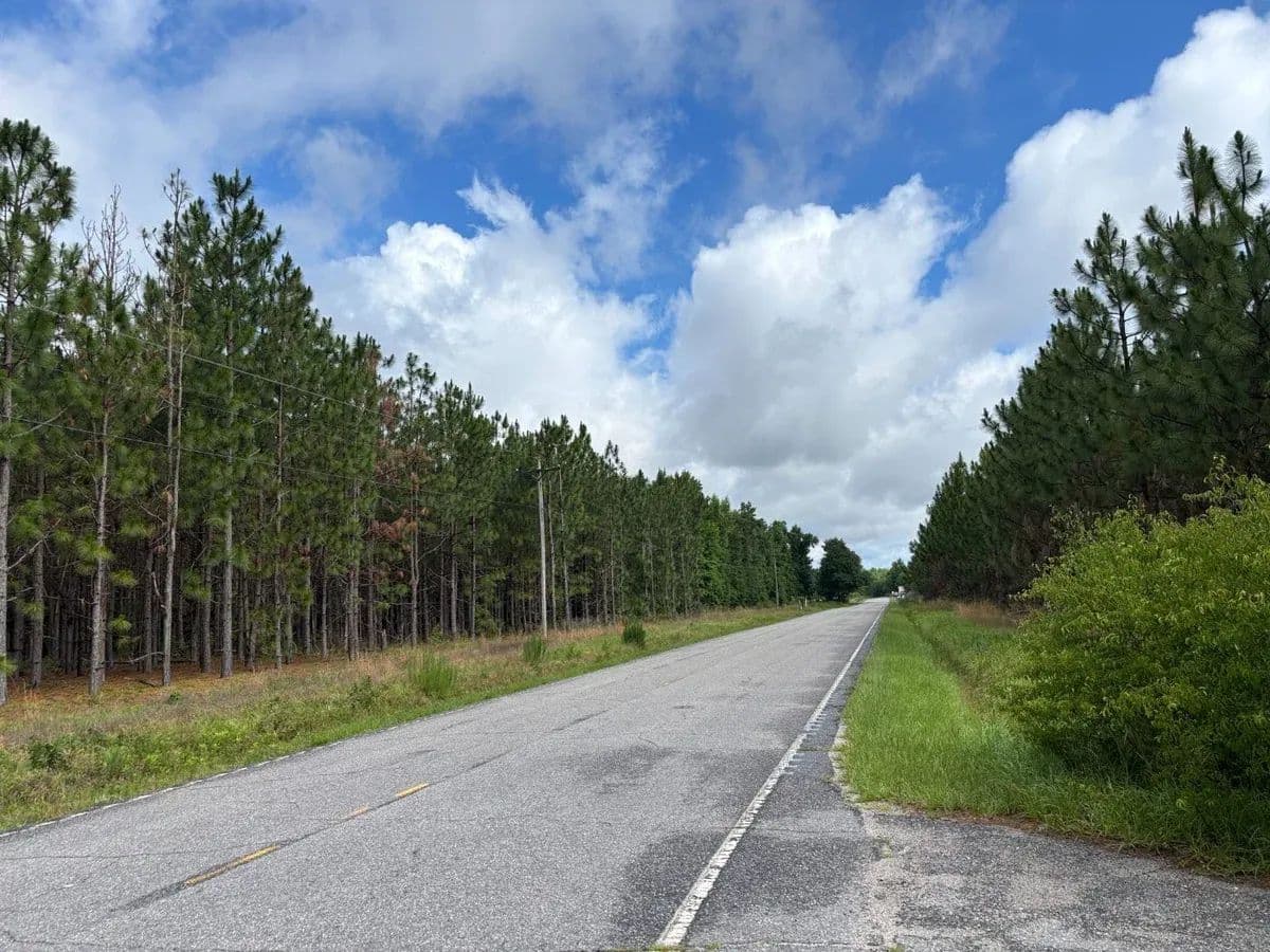 Beaverdam Creek 171 Tract - Mccoll, South Carolina, 29570