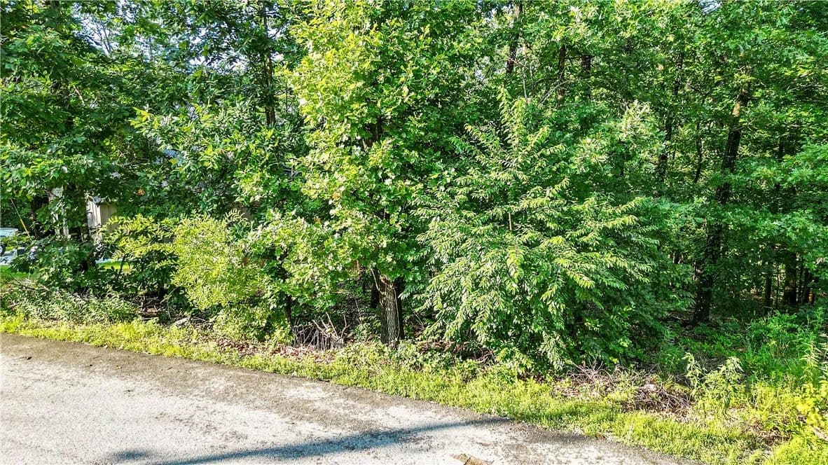 0.28 Acres of Land for Sale in Bella Vista, AR - Bella Vista, Arkansas, 72715