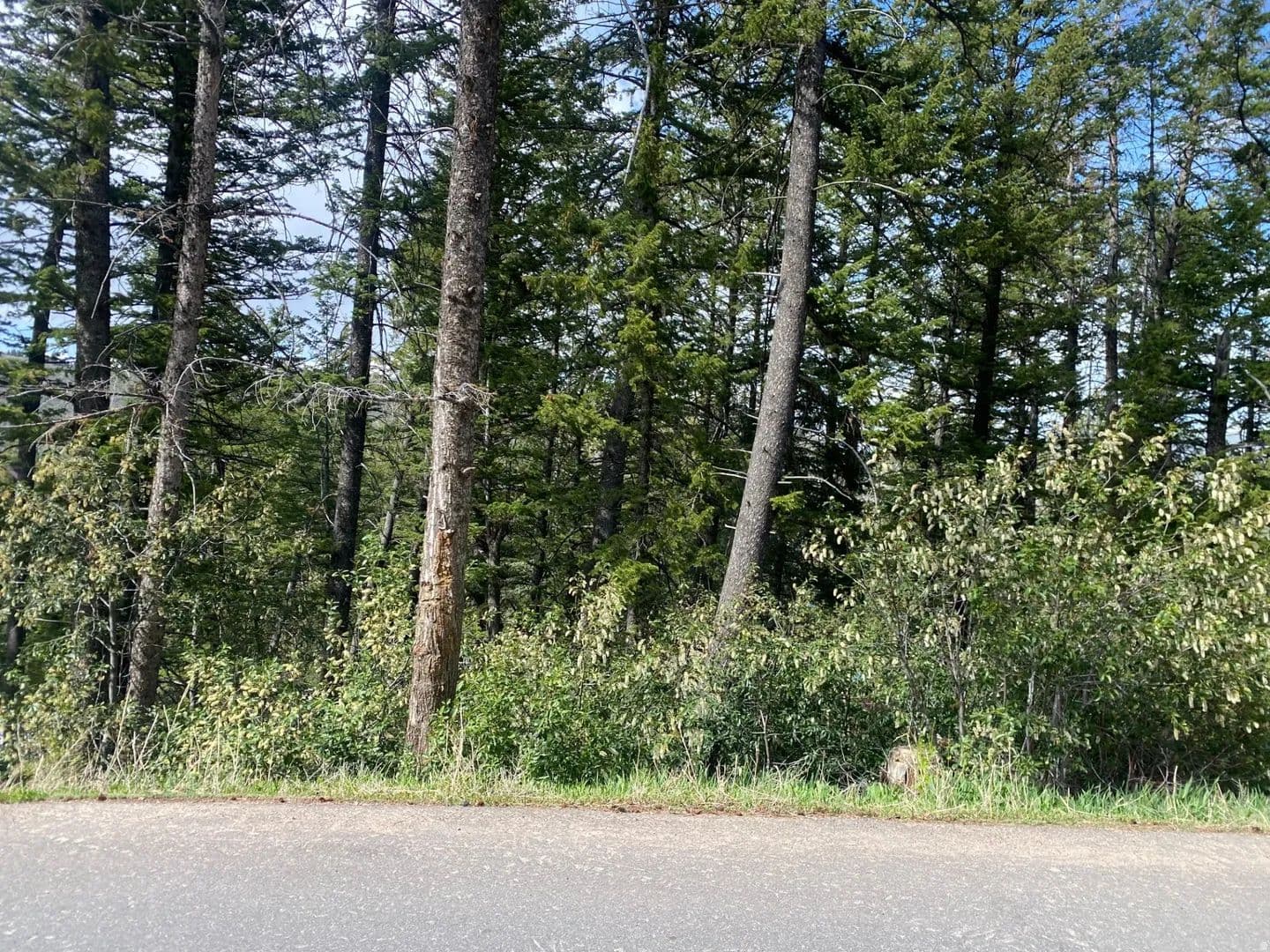 0.3 Acres of Land for Sale in Summit Park, UT - Summit Park, Utah, 84098