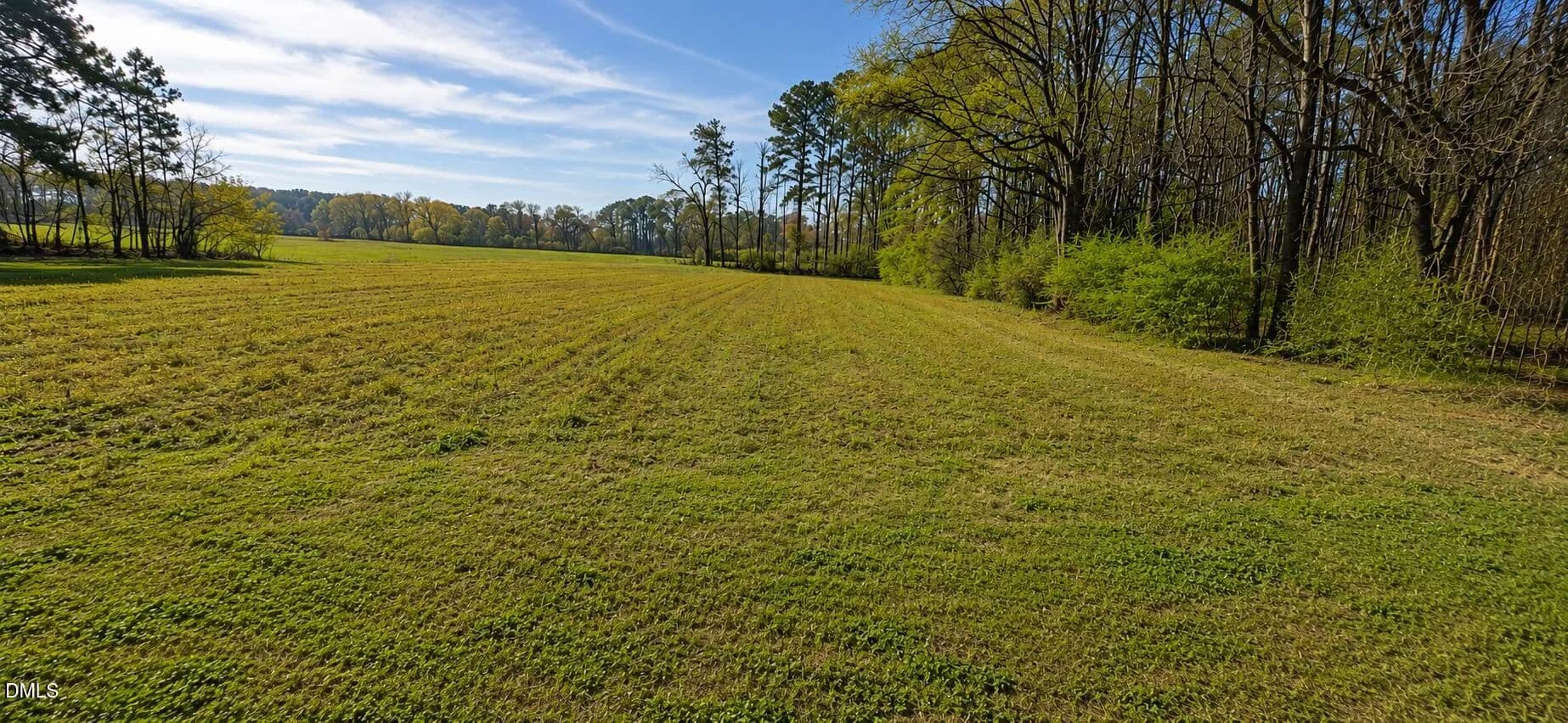 Vacant Land in Enfield - Enfield, North Carolina, 27823