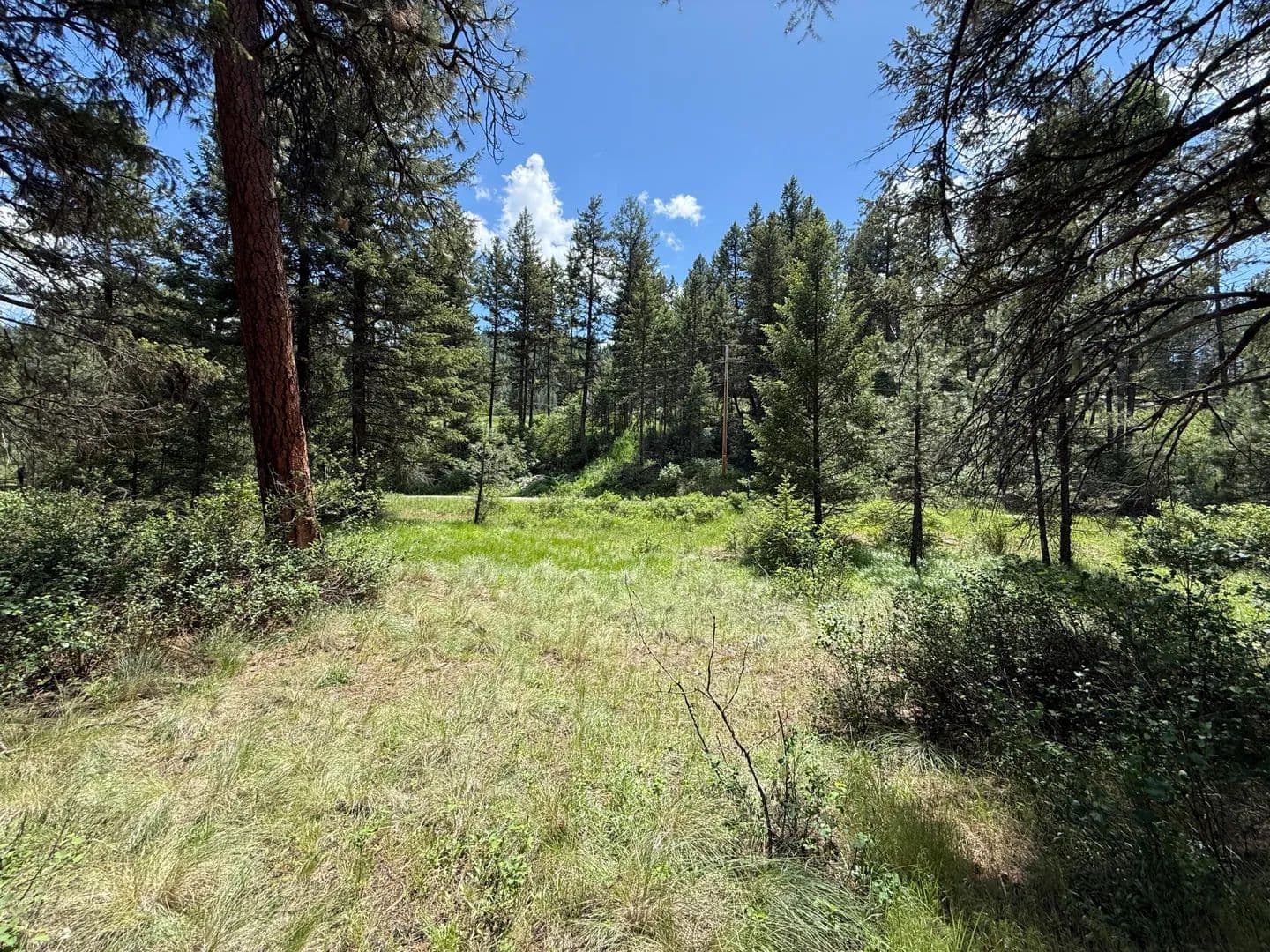Property from 21 PINE GROVE ST - KW - Republic, Washington, 99166