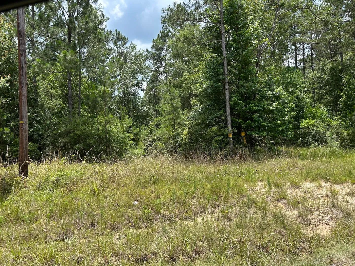 Property from Hwy 389 - KW - Merryville, Louisiana, 70653
