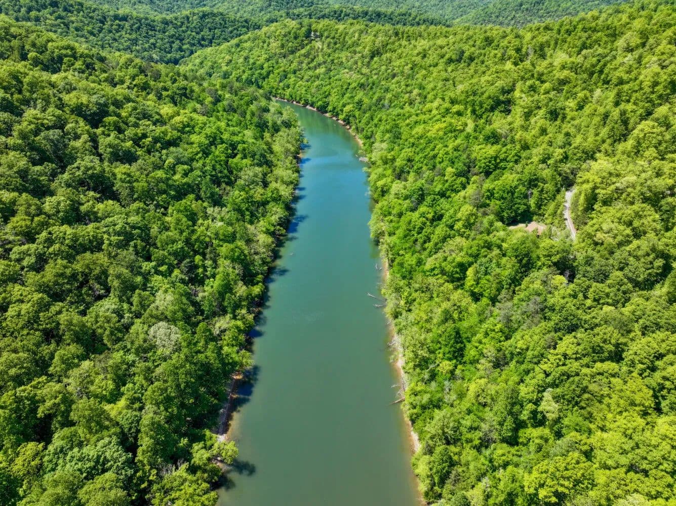 Powell River Retreats | Riverfront, Residential & Investment Properties – Lot 133 - Speedwell, Tennessee, 37870
