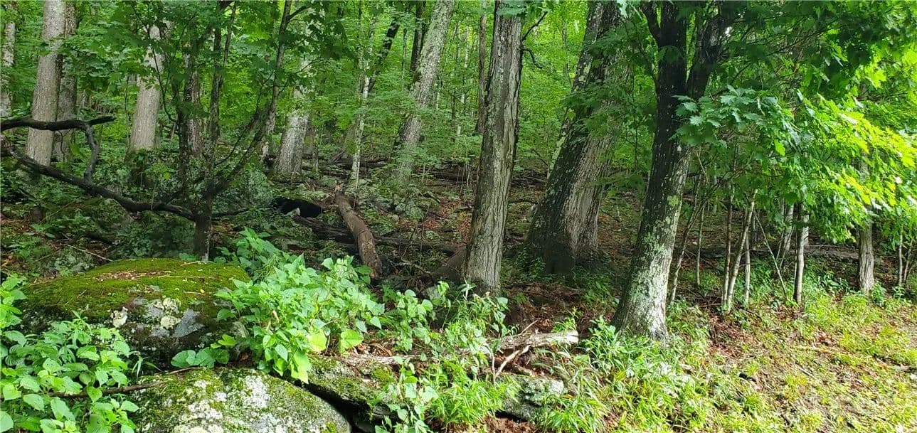 0.3 Acres of Land for Sale in Seven Devils, NC - Seven Devils, North Carolina, 28607