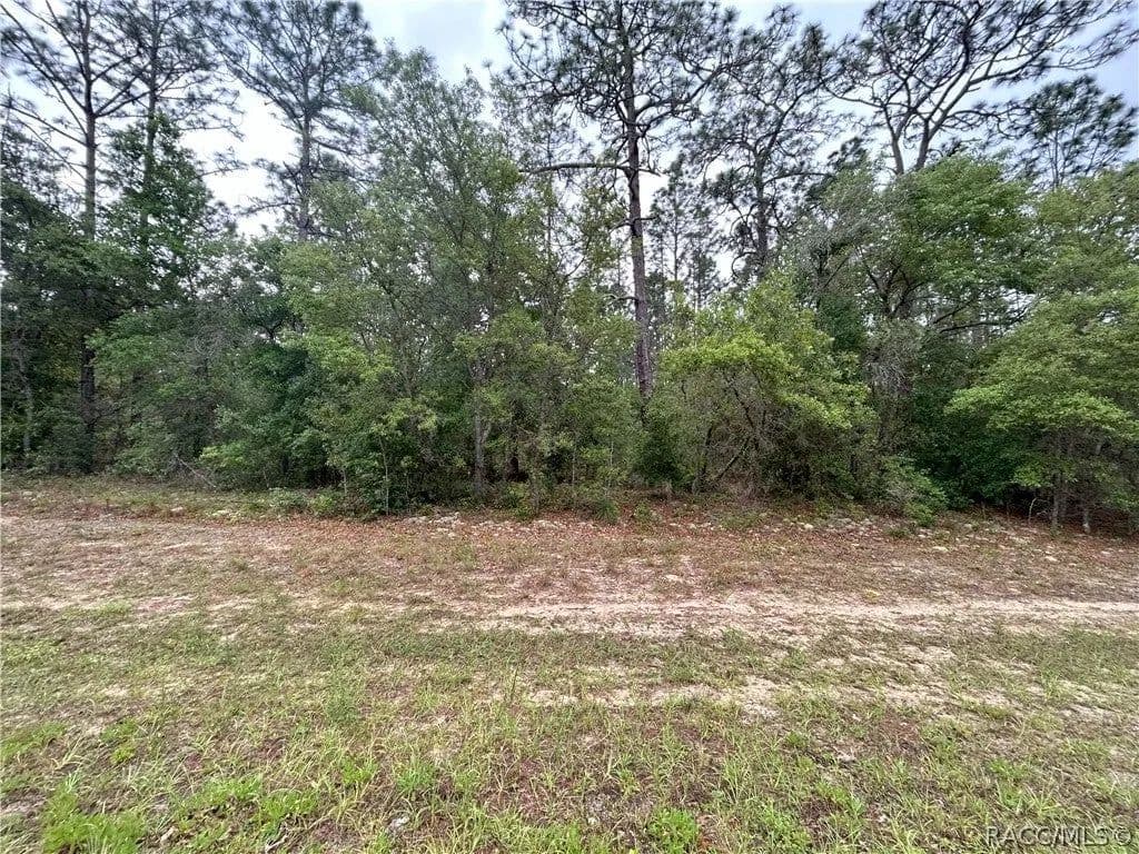 Lots & Land-Other in Citrus Springs - Citrus Springs, Florida, 34434