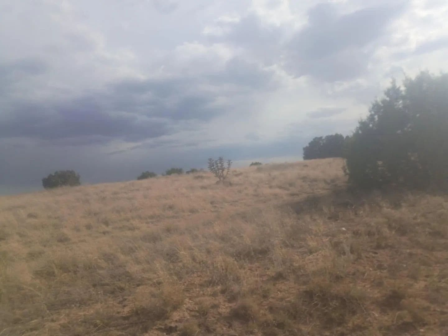 Property from Lot 2 Cassandra Court - KW - Moriarty, New Mexico, 87035