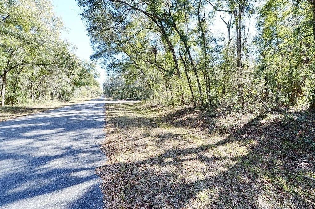 Lots & Land-Other in Citrus Springs - Citrus Springs, Florida, 34434