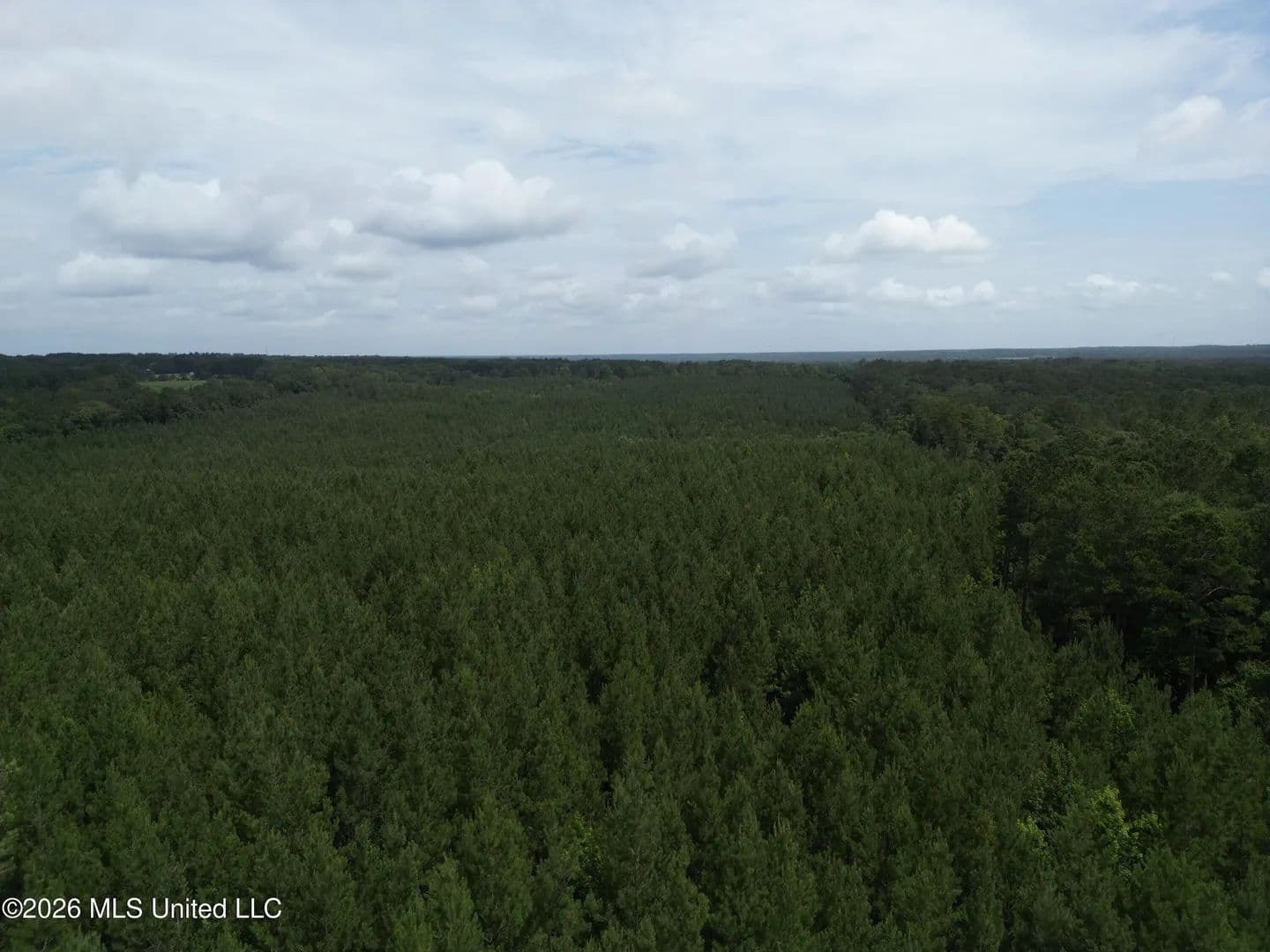 Property from Summit Holmesville Road - KW - Mccomb, Mississippi, 39648