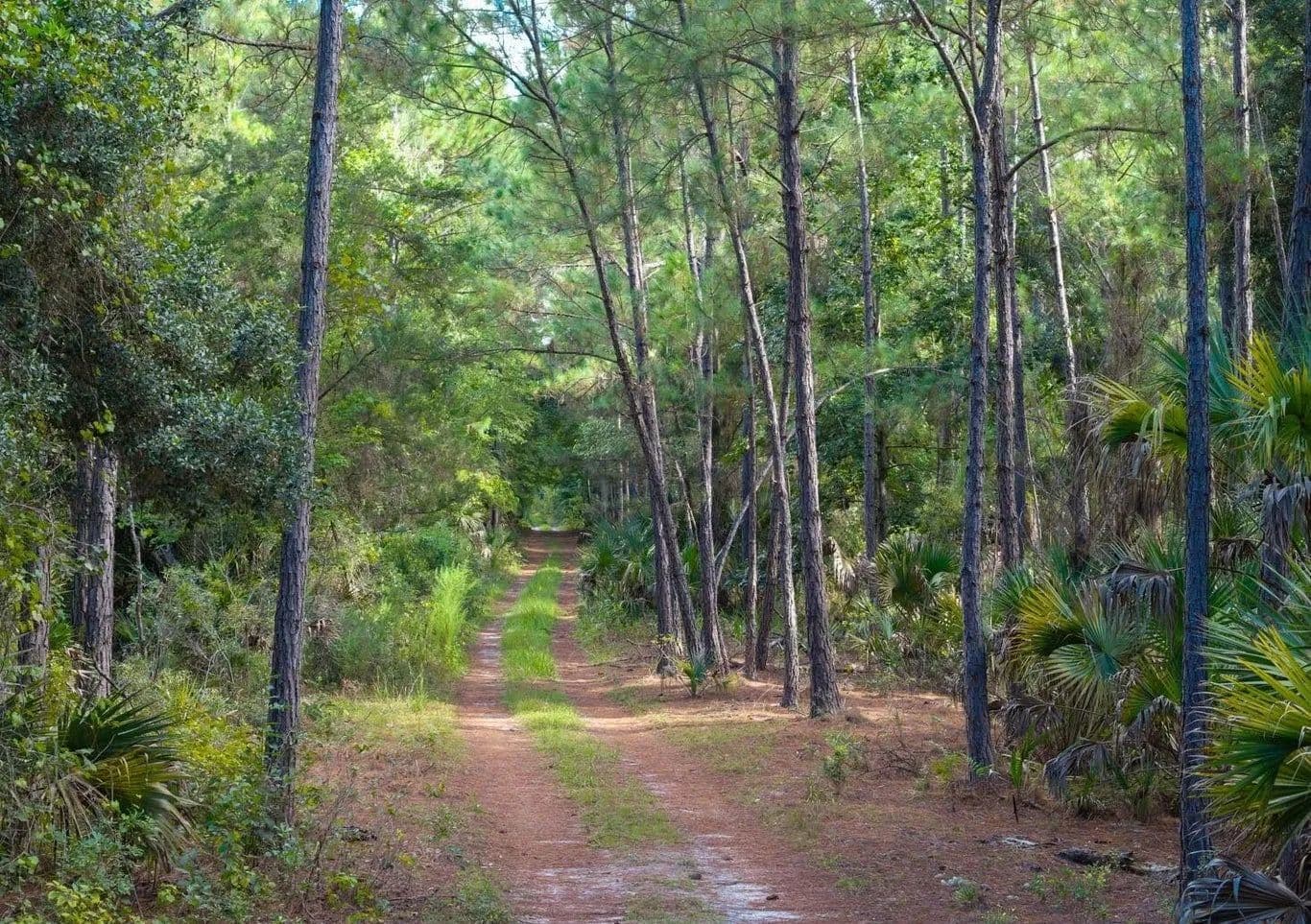 Vacant Land (0-10 Acres) in Georgetown - Georgetown, Florida, 32139
