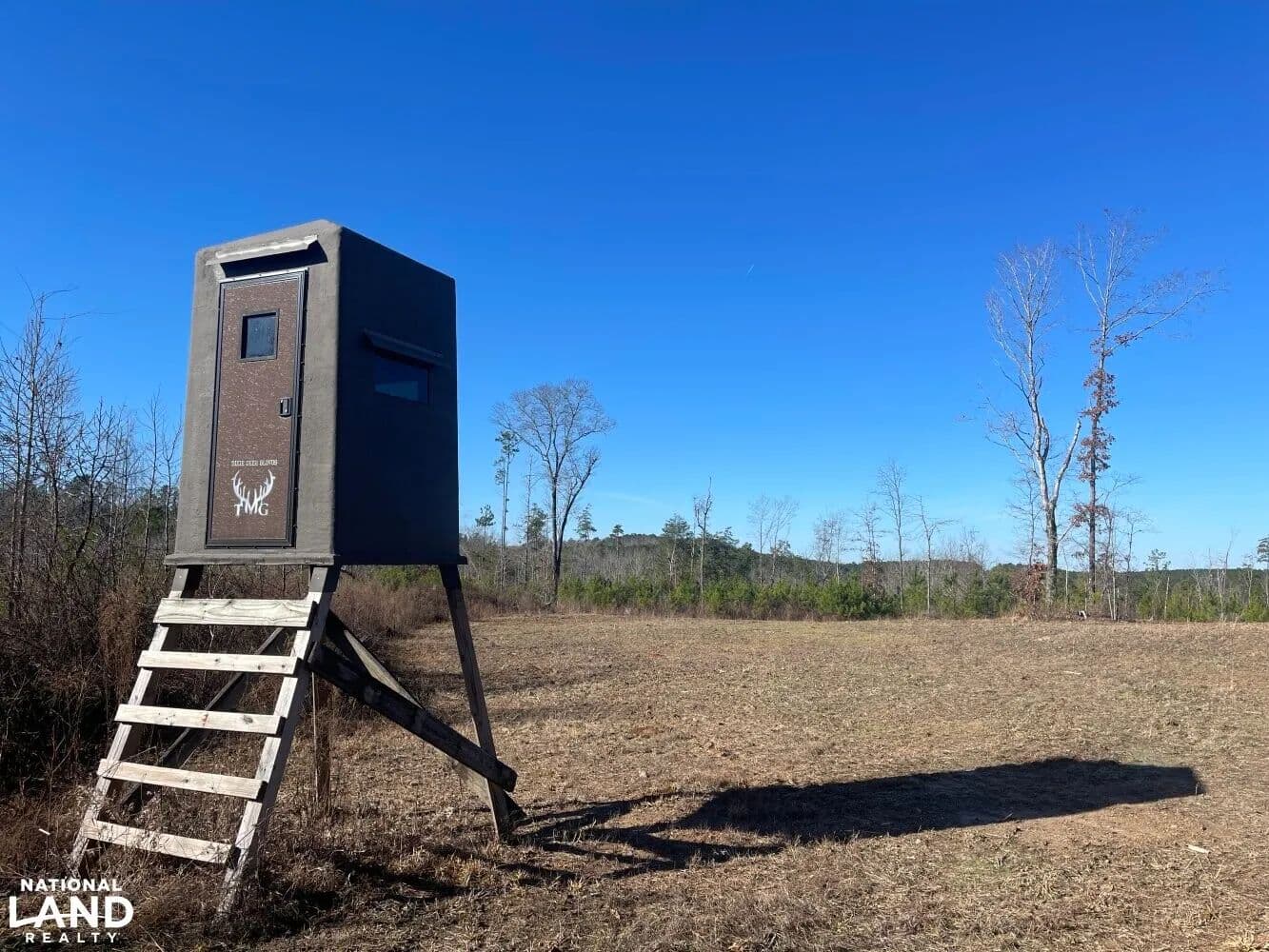 Oakman Hunting & Timber Tract - Oakman, Alabama, 35579