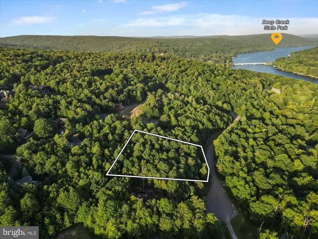 1 Acre of Land for Sale in MC HENRY, MD - Maryland, 21541