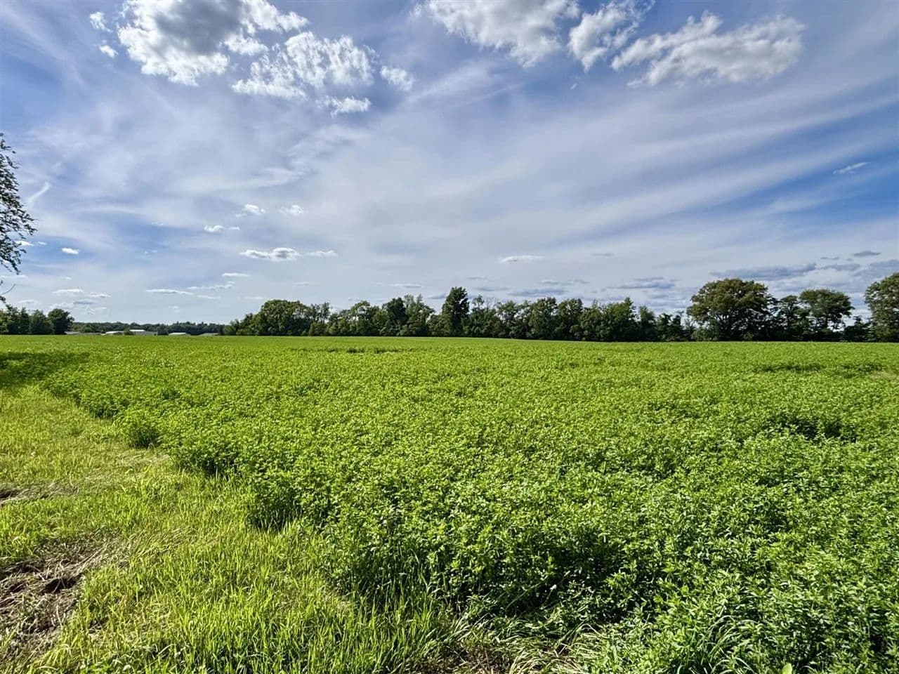 Property from US 12 - KW - Sturgis, Michigan, 49091
