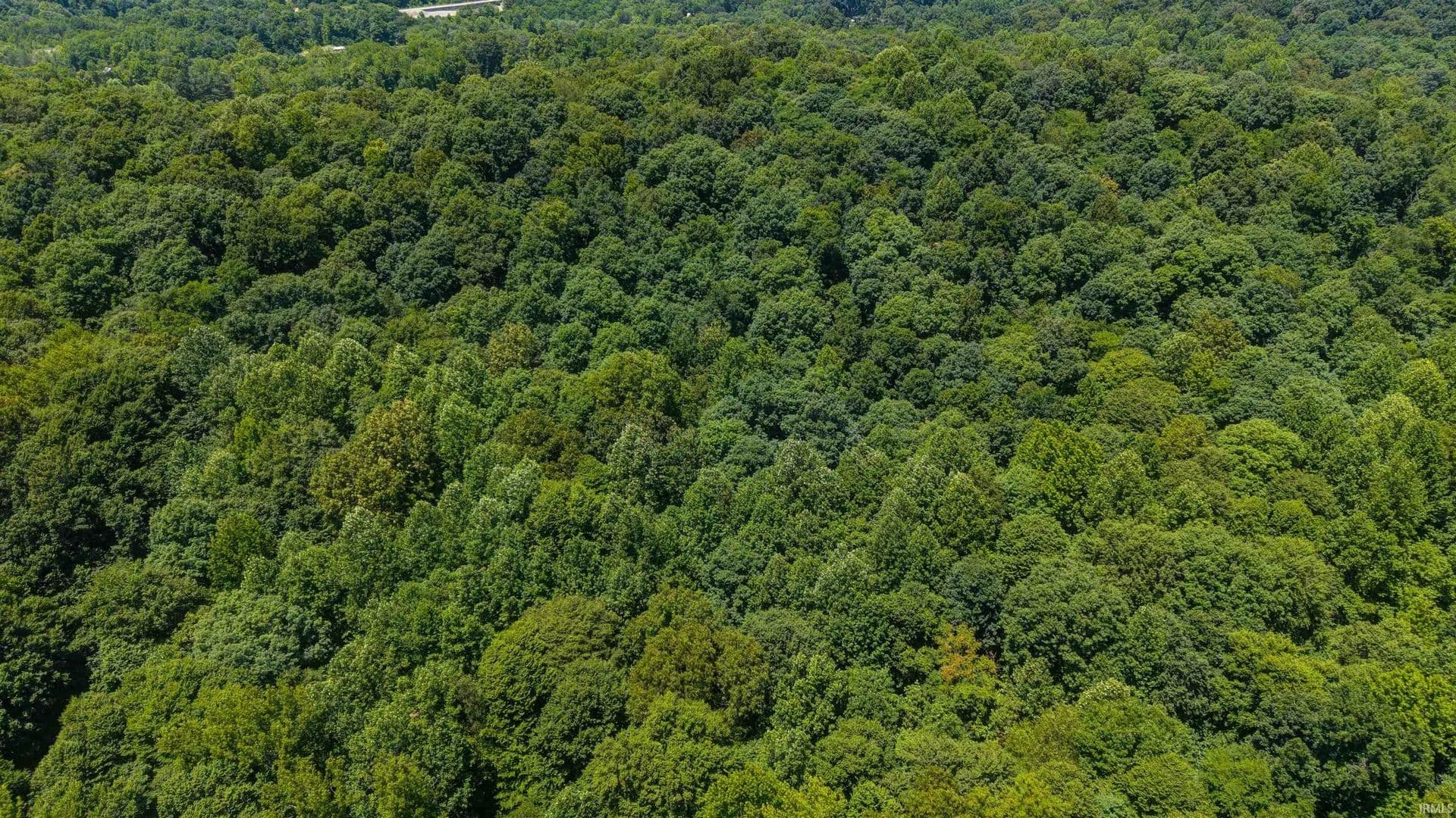 Property from Lot 14 Bell Hollow Road - KW - Cannelton, Indiana, 47520