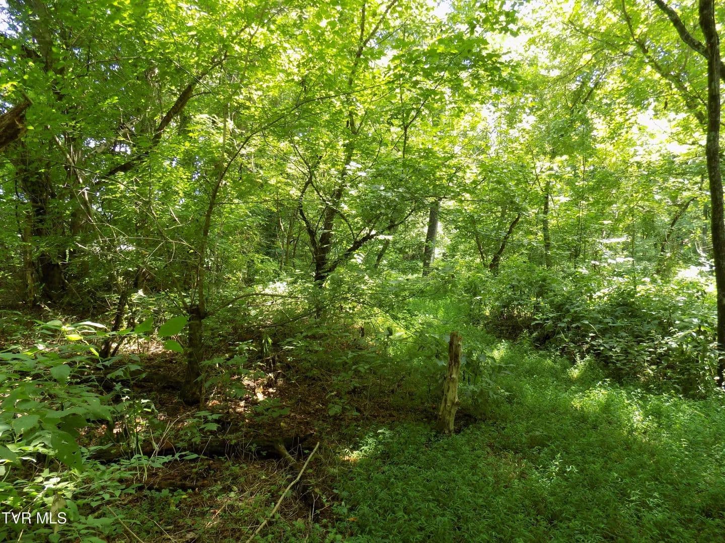 0.63 Acres of Land for Sale in Rogersville, Tennessee - Rogersville, Tennessee, 37857